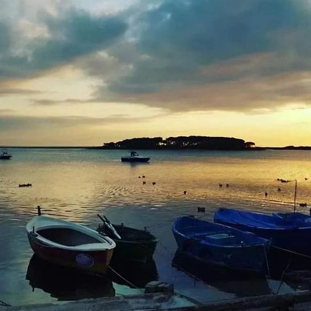 B&B Fior Di Mare Porto Cesareo Exteriör bild